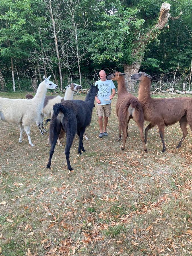 The Llama Farm France Saint-Cyr-Les-Champagnes Exteriör bild