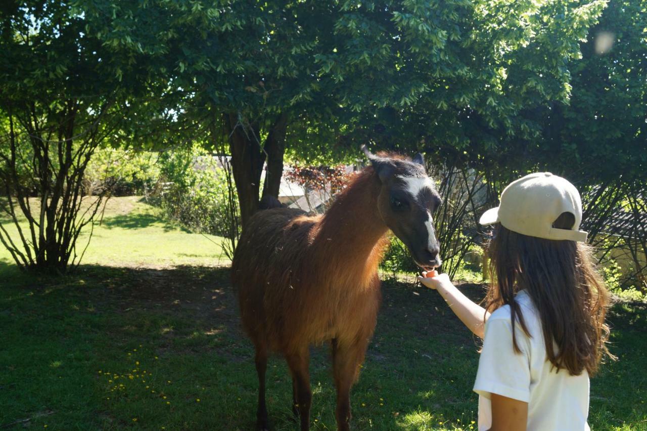 The Llama Farm France Saint-Cyr-Les-Champagnes Exteriör bild