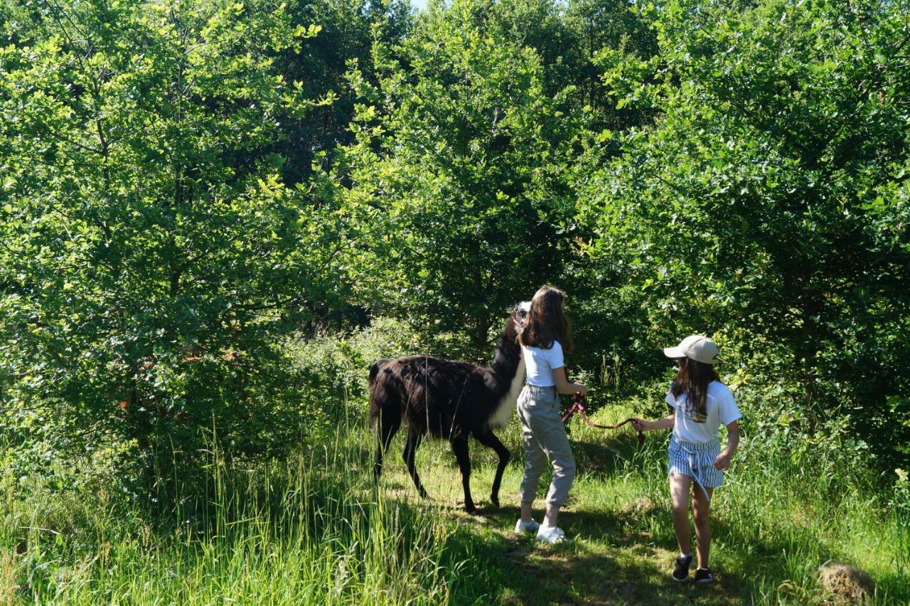 The Llama Farm France Saint-Cyr-Les-Champagnes Exteriör bild