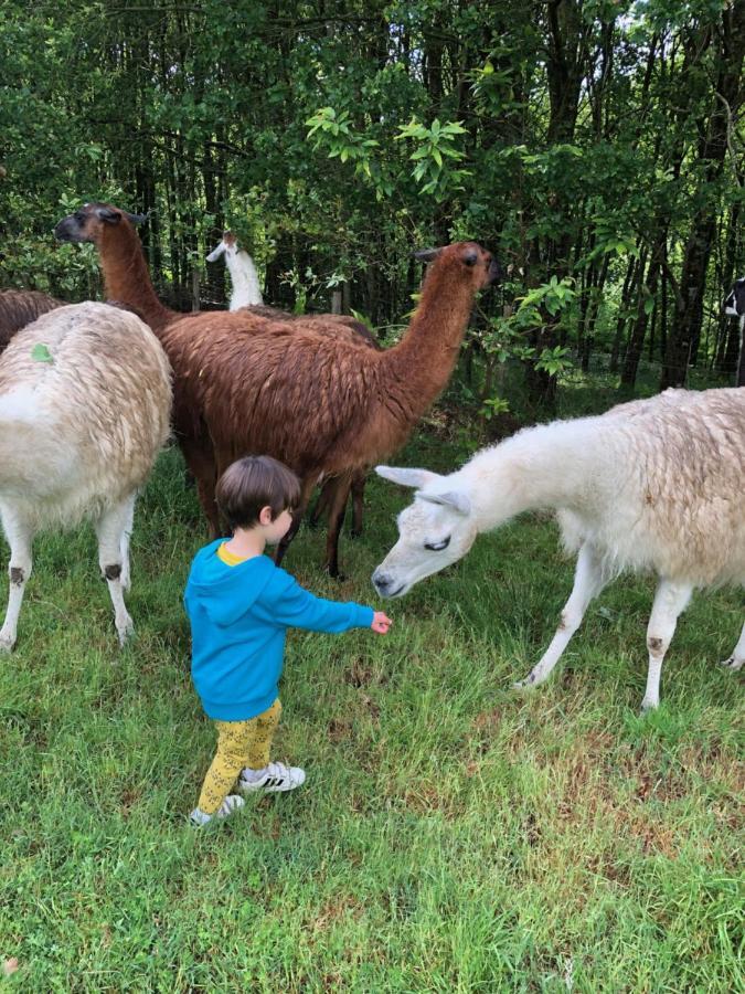The Llama Farm France Saint-Cyr-Les-Champagnes Exteriör bild